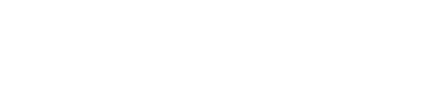 Pete Nelson Valeting & Detaling Logo